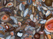 RED AGATE 